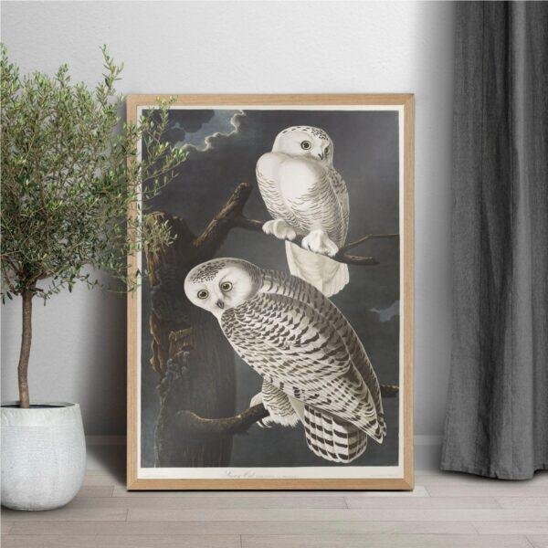 Snowy White Owl Audubon Print - John James Audubon Bird Watching Art, Vintage Owl Wall Decor, Birds of America Poster