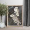 Snowy White Owl Audubon Print - John James Audubon Bird Watching Art, Vintage Owl Wall Decor, Birds of America Poster