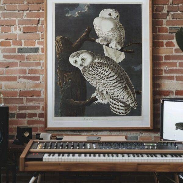 Snowy White Owl Audubon Print - John James Audubon Bird Watching Art, Vintage Owl Wall Decor, Birds of America Poster
