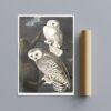 Snowy White Owl Audubon Print - John James Audubon Bird Watching Art, Vintage Owl Wall Decor, Birds of America Poster