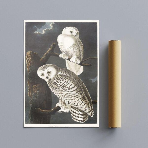 Snowy White Owl Audubon Print - John James Audubon Bird Watching Art, Vintage Owl Wall Decor, Birds of America Poster