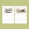 African Wildlife Wall Calendar – French botanist, Charles Henry Dessalines d'Orbigny, earth science