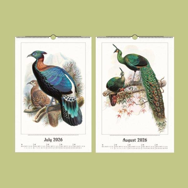 Natural History Wall Calendar – Dutch Artist, Joseph Smit, Victorian Bird Art, Semi-Glossy Paper