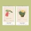 Botanical Calendar – Cactus Gallery Art, Cacti Illustration, Plant Artwork, Semi-Glossy Paper