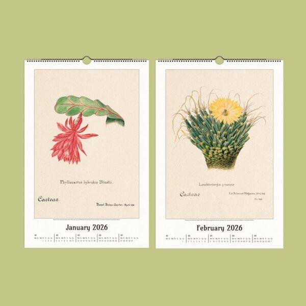 Botanical Calendar – Cactus Gallery Art, Cacti Illustration, Plant Artwork, Semi-Glossy Paper
