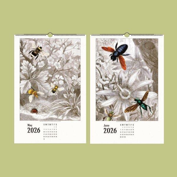Insect Calendar - Plant and Insect Art by Jules Rothschild, Semi-Glossy Paper