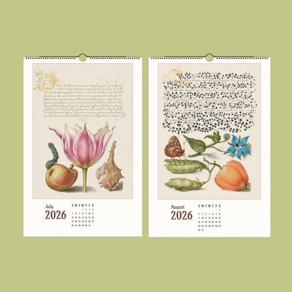 Calligraphy Art Wall Calendar - Dutch Artist, Joris Hoefnagel, Insect Illustrations, Semi-Glossy Paper