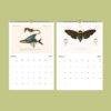 African Wildlife Wall Calendar – French botanist, Charles Henry Dessalines d'Orbigny, earth science