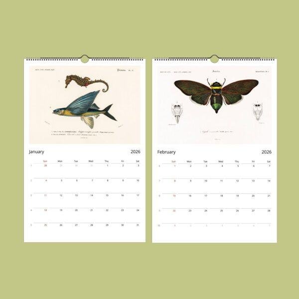 African Wildlife Wall Calendar – French botanist, Charles Henry Dessalines d'Orbigny, earth science