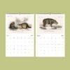 African Wildlife Wall Calendar – French botanist, Charles Henry Dessalines d'Orbigny, earth science