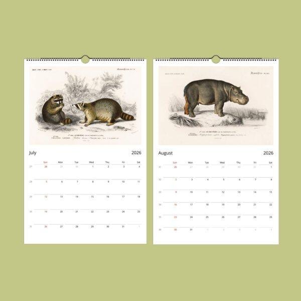 African Wildlife Wall Calendar – French botanist, Charles Henry Dessalines d'Orbigny, earth science
