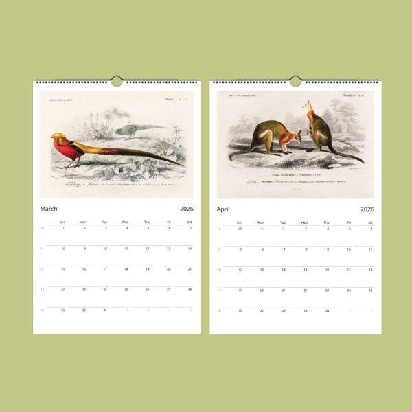 African Wildlife Wall Calendar – French botanist, Charles Henry Dessalines d'Orbigny, earth science
