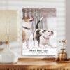 Dog Wall Calendar – Golden Retriever, French Bulldog, Semi-Gloss Paper