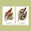 Natural History Wall Calendar – Dutch Artist, Joseph Smit, Victorian Bird Art, Semi-Glossy Paper