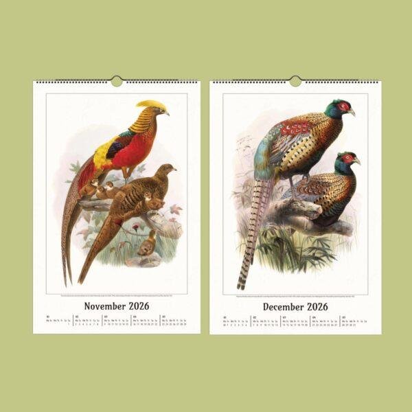 Natural History Wall Calendar – Dutch Artist, Joseph Smit, Victorian Bird Art, Semi-Glossy Paper