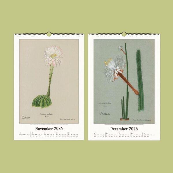 Botanical Calendar – Cactus Gallery Art, Cacti Illustration, Plant Artwork, Semi-Glossy Paper