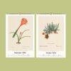 Botanical Calendar – Cactus Gallery Art, Cacti Illustration, Plant Artwork, Semi-Glossy Paper