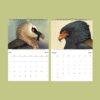 African Wildlife Calendar – Bird Illustrations, World Travel, Natural History Art, Semi-Glossy Paper