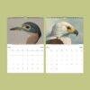 African Wildlife Calendar – Bird Illustrations, World Travel, Natural History Art, Semi-Glossy Paper