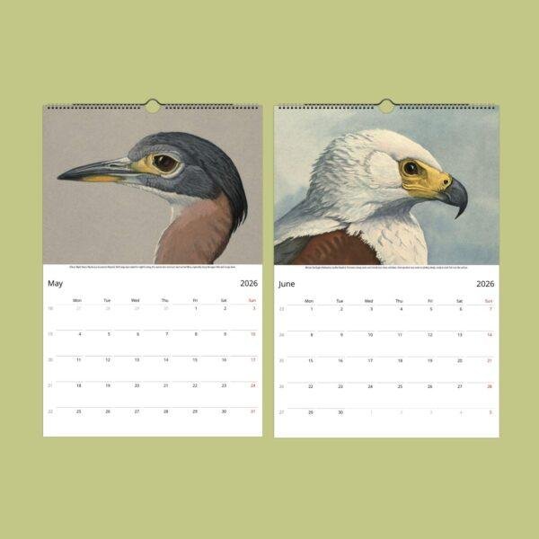 African Wildlife Calendar – Bird Illustrations, World Travel, Natural History Art, Semi-Glossy Paper