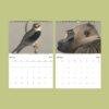 African Wildlife Calendar – Bird Illustrations, World Travel, Natural History Art, Semi-Glossy Paper