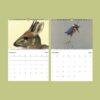 African Wildlife Calendar – Bird Illustrations, World Travel, Natural History Art, Semi-Glossy Paper