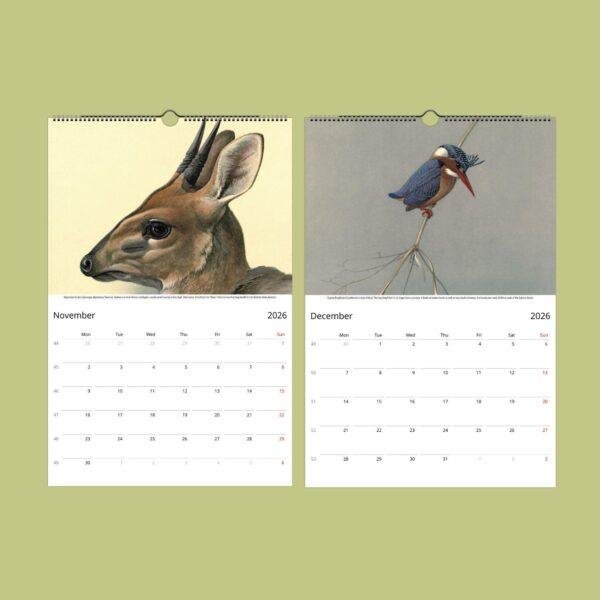 African Wildlife Calendar – Bird Illustrations, World Travel, Natural History Art, Semi-Glossy Paper