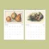 Victorian Garden Wall Calendar - Antique Fruit & Vegetable Art