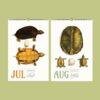 Save the Turtles Wall Calendar – Endangered Species, Scientist Gift, Semi-Glossy Paper