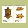 Save the Turtles Wall Calendar – Endangered Species, Scientist Gift, Semi-Glossy Paper