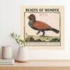 Beasts Of Wonder Calendar – Anselmus De Boodt, Dutch Artist, Curiosity Cabinet, Semi-Gloss Paper