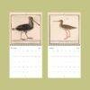 Beasts Of Wonder Calendar – Anselmus De Boodt, Dutch Artist, Curiosity Cabinet, Semi-Gloss Paper