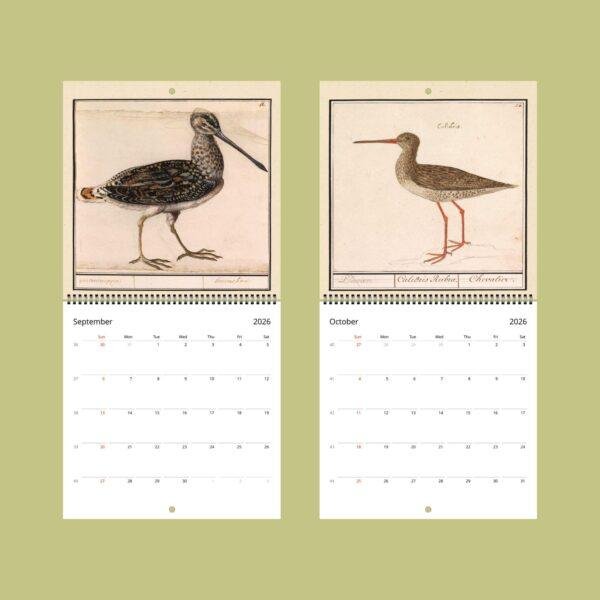Beasts Of Wonder Calendar – Anselmus De Boodt, Dutch Artist, Curiosity Cabinet, Semi-Gloss Paper