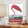 American Flamingo Wall Calendar – John James Audubon, Bird Lover Gift, Semi-Glossy Paper