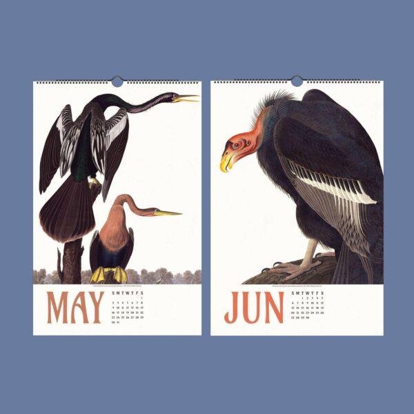 American Flamingo Wall Calendar – John James Audubon, Bird Lover Gift, Semi-Glossy Paper