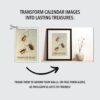 Victorian Bug Art Wall Calendar