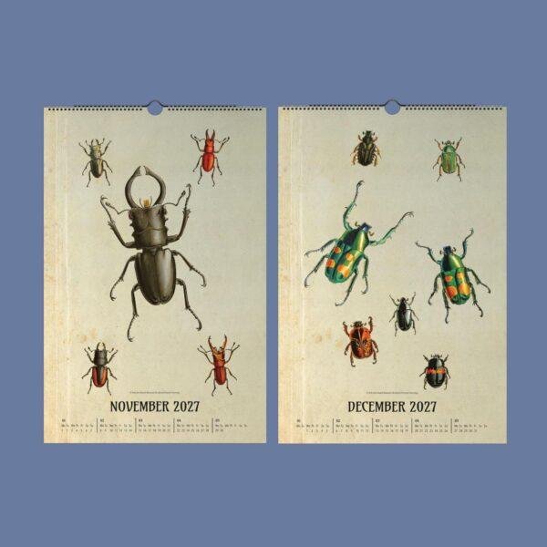 Victorian Bug Art Wall Calendar