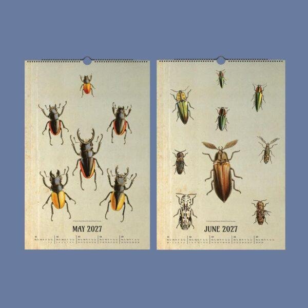 Victorian Bug Art Wall Calendar