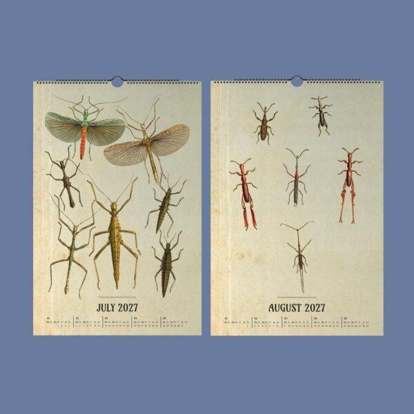 Victorian Bug Art Wall Calendar
