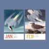 American Flamingo Wall Calendar – John James Audubon, Bird Lover Gift, Semi-Glossy Paper