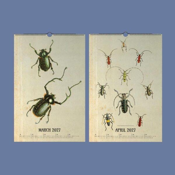 Victorian Bug Art Wall Calendar
