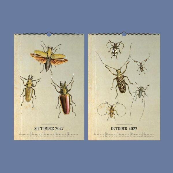 Victorian Bug Art Wall Calendar