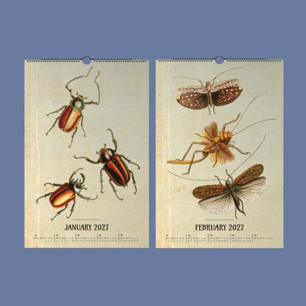 Victorian Bug Art Wall Calendar