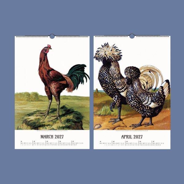 Chicken Wall Calendar – Vintage Rooster Art, Farmhouse Decor, Semi-Glossy Paper