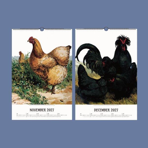 Chicken Wall Calendar – Vintage Rooster Art, Farmhouse Decor, Semi-Glossy Paper