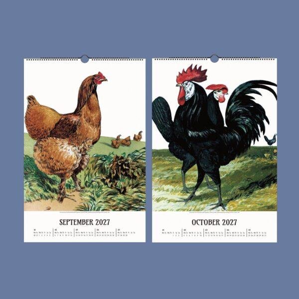 Chicken Wall Calendar – Vintage Rooster Art, Farmhouse Decor, Semi-Glossy Paper