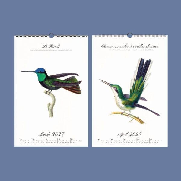 Jewels in Flight Wall Calendar – French Artist, Hummingbird Gift, Semi-Glossy Paper