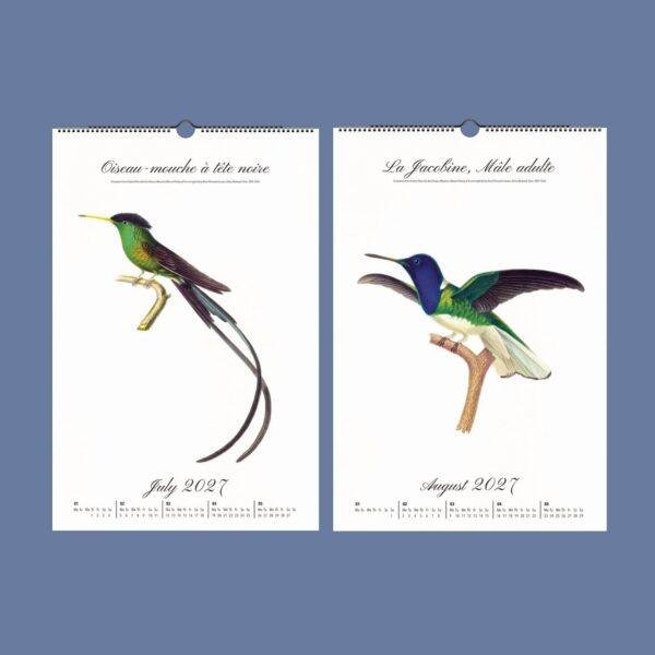 Jewels in Flight Wall Calendar – French Artist, Hummingbird Gift, Semi-Glossy Paper
