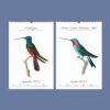 Jewels in Flight Wall Calendar – French Artist, Hummingbird Gift, Semi-Glossy Paper