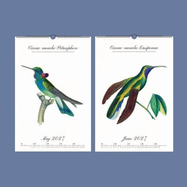 Jewels in Flight Wall Calendar – French Artist, Hummingbird Gift, Semi-Glossy Paper